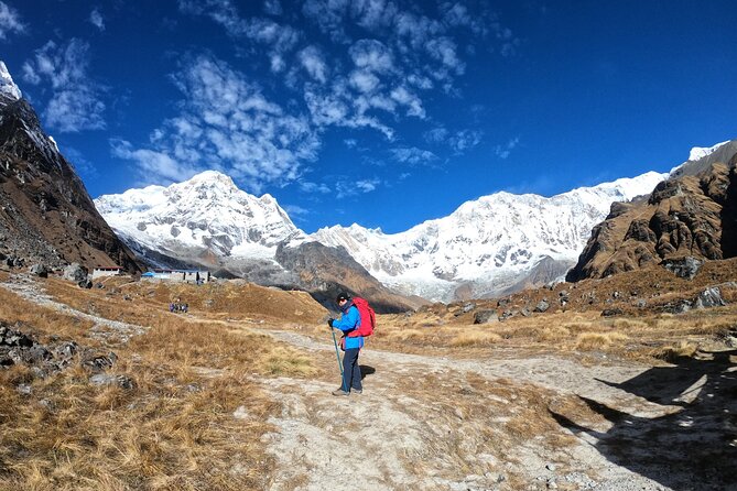 10 Days Annapurna Base Camp Trek From Pokhara - Day 2: Ghorepani Through Rhododendron Forests