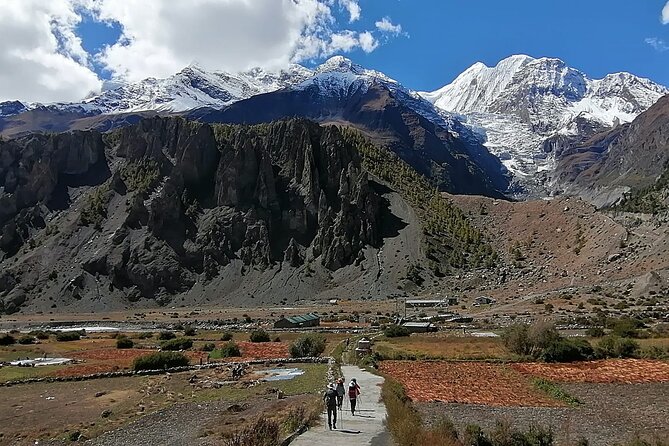 10 Days Annapurna Circuit Trek - Chame and Manang District: Forest Trails and First Big-Name Views