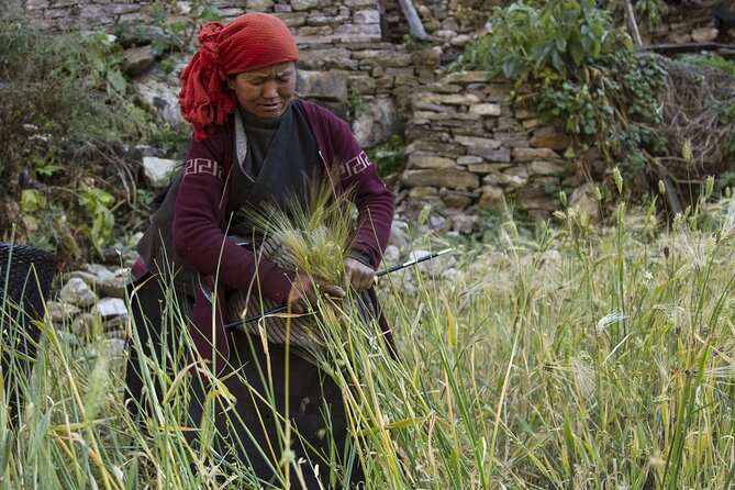 10 Days Manaslu Circuit Trek in Larke La Pass - Day 5: Namrung to Sama Gaon, plus why this stop is strategic