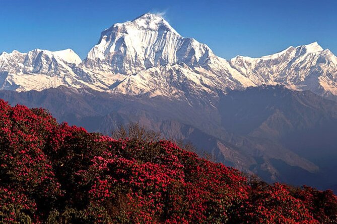 10 Days Private Guided Annapurna Basecamp Trek via Poon Hill - Pokhara pickup and the start at Nayapul