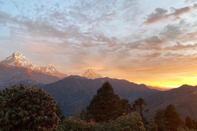 10 Days Private Guided Annapurna Basecamp Trek via Poon Hill - Chhomrong and the forest section: suspension bridge day