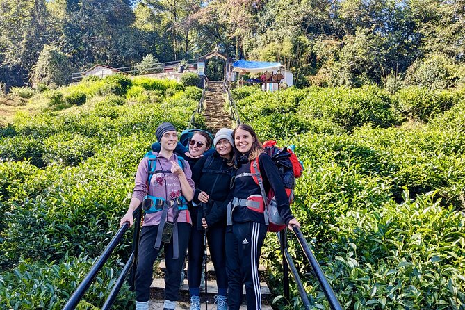 10 Days Private Guided Annapurna Basecamp Trek via Poon Hill - Price and what you really get for $800
