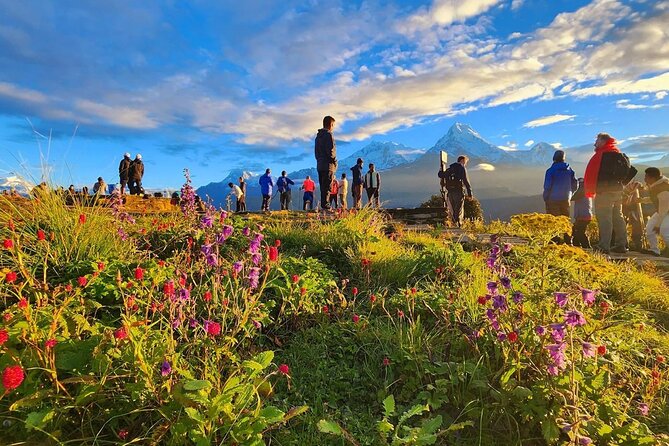 10 Days Private Guided Annapurna Basecamp Trek via Poon Hill - Ulleri steps to Ghorepani pace: where your legs learn the route