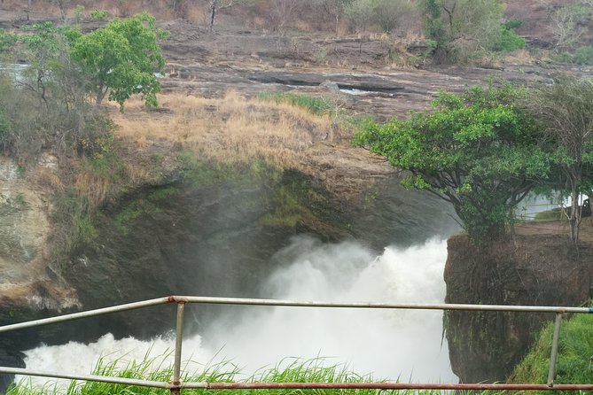 10 Days Uganda Gorilla & Chimpanzee Trekking Safari - Kibale to the next parks: caves, Mabereeganyinamwiru, and the shift into bigger safari country