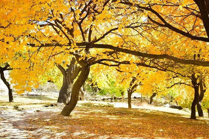 11 Days Trek Nanga Parbat Base Camp & Hunza Gojal Valley - Hunza Valley: forts, Attabad, and the feel of old routes