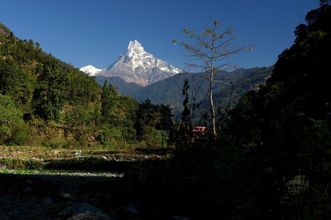 12-Day Nepal Adventure Trek with Jungle Safari - First Trek Day (Tikhedhunga): Nayapul to the climb-in-your-legs start