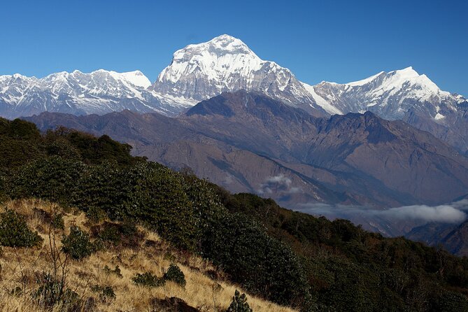 12-Day Nepal Adventure Trek with Jungle Safari - Poon Hill sunrise day: a 3232m viewpoint with the big stair challenge