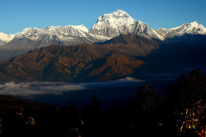 12-Day Nepal Adventure Trek with Jungle Safari - Chitwan National Park: jungle lodge check-in plus a Tharu village tour