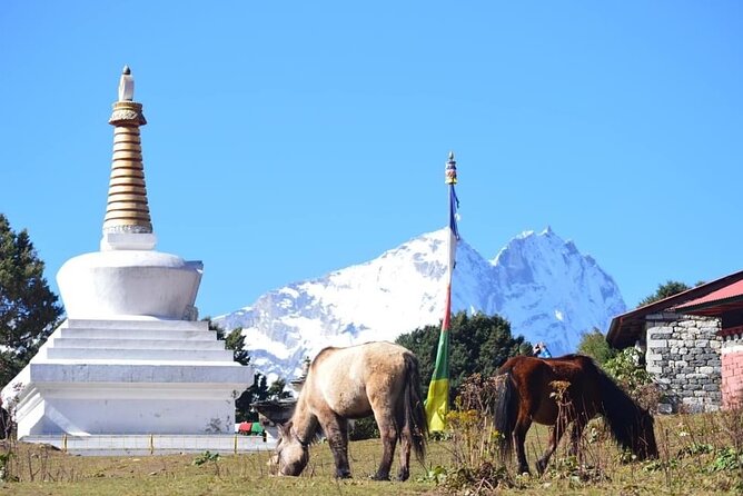 12 Day Private Mt. Everest View Luxury Trek - Khumjung + Tengboche Monastery: Mountain-Name Views and Ritual Time