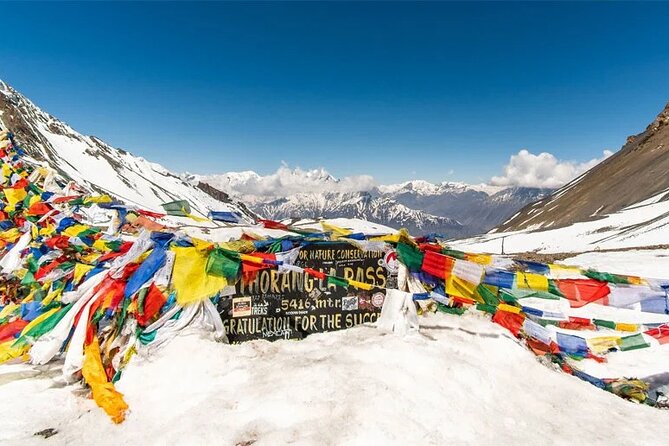 12 days Annapurna Circuit Trek - Yak Kharka and Thorong Phedi: the trail tightens