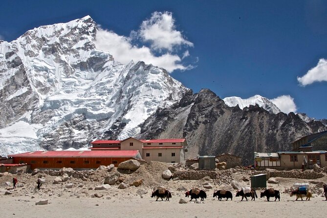 12 Days Everest Base Camp Trek - Tea Houses, Meals, and Comfort at Altitude