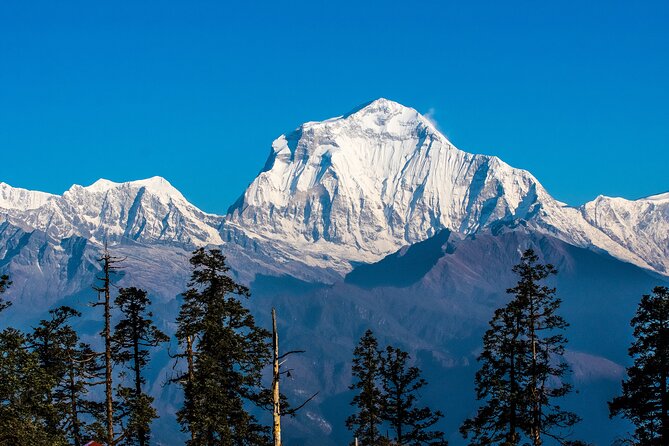 12 Days Trek Tour in Nepal - The road to Pokhara: long drives, useful decompression time