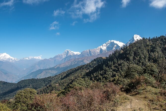 12 Days Trek Tour in Nepal - Trek days 4–6: rivers, Magar villages, and the climb toward Mohare Danda
