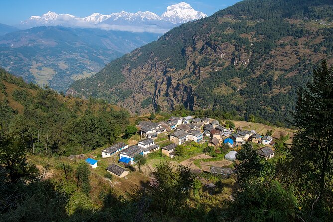 12 Days Trek Tour in Nepal - Your 12 days, step by step: from Kathmandu calm to ridge-top mornings