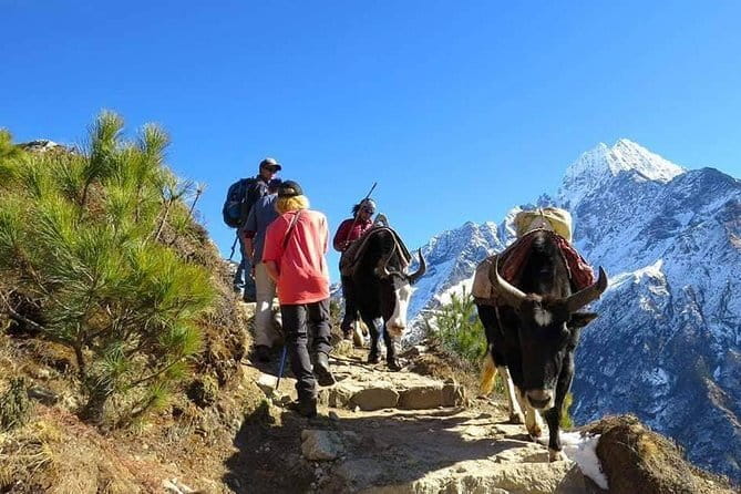 14 Days Everest Base Camp Trekking - Dingboche Arrival and Pangboche Area: Ama Dablam in Focus