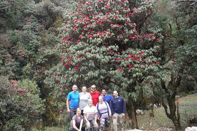 14 Days Luxury Annapurna Base Camp Trek - Machhapuchhare Base Camp Sunrise and the Walk Back to Dovan