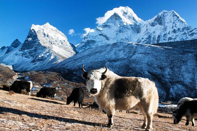14-Days Private Everest Base Camp Trek - Key highlights worth knowing