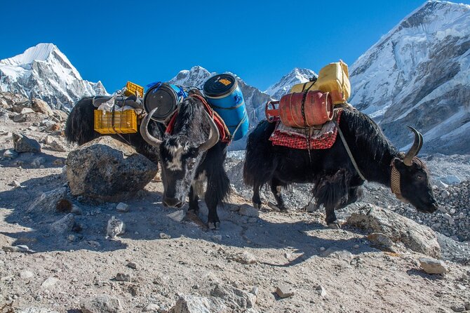 14 Days Private Tour Everest Base Camp Trek - The Namche Acclimatization Day: Slow Is Smart