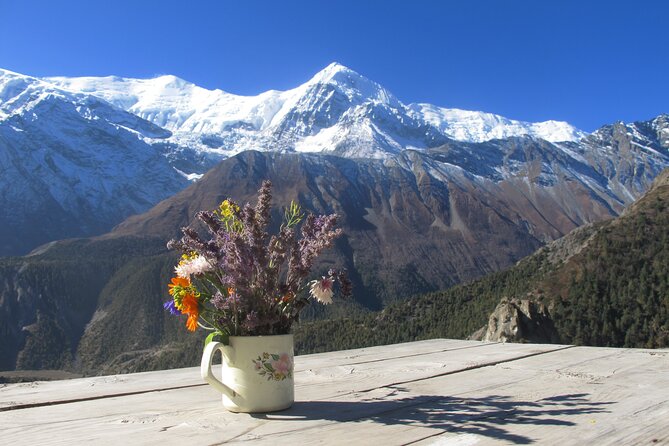15-Day Private Annapurna Circuit Trek from Kathmandu - Manang approach: from forest and narrows to bigger altitude