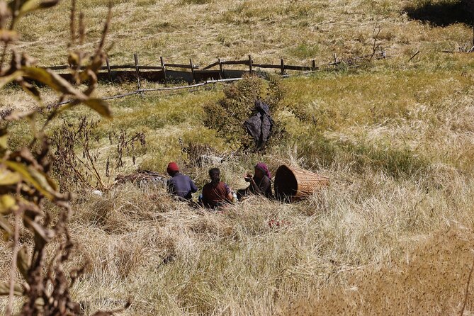 15 Days Manaslu Circuit Trek - Machhakhola to Jagat: Hot Springs, River Bridges, and First Real Climbing