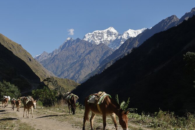 15 Days Manaslu Circuit Trek - Deng to Namrung: Fields, Bridges, and Tibetan-Style Highland Living