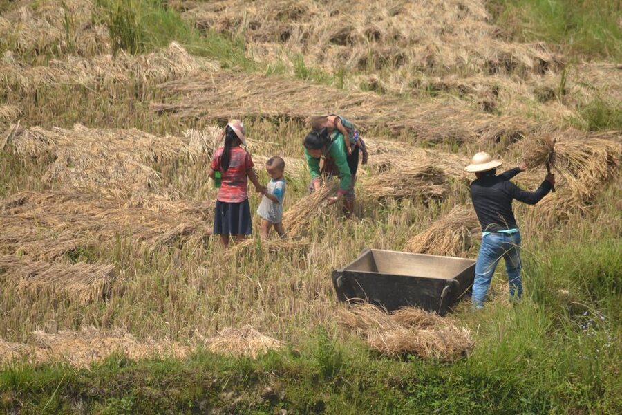 2 Day-2 Night Sapa Trekking: Overnight Train &Limousine Bus - Who should book this Sapa route