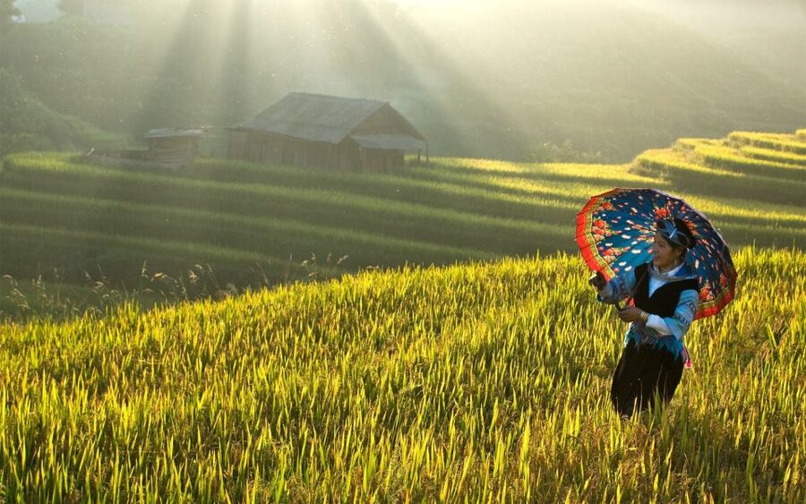 2 Day-2 Night Sapa Trekking: Overnight Train &Limousine Bus - Ma Tra – Ta Phin villages: Black H’Mong and Red Dzao culture close-up