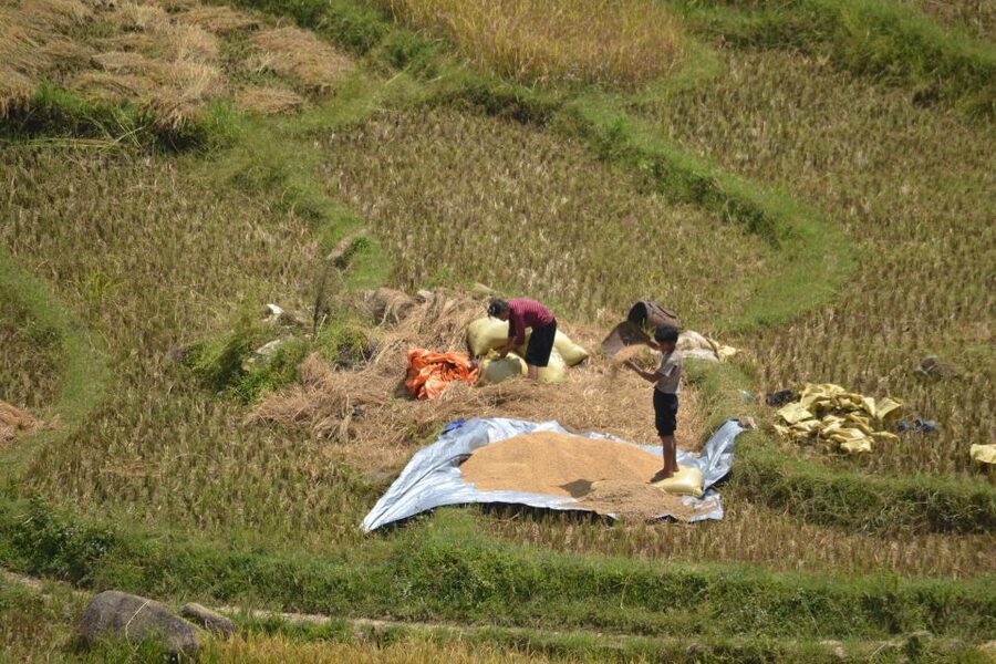 2 Day-2 Night Sapa Trekking: Overnight Train &Limousine Bus - First morning in Sapa: breakfast, refresh time, and altitude reality