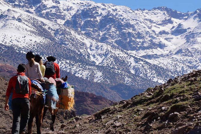 2- Day Guided Cultural Trek in the Atlas Mountains from Marrakech - The people behind the trek: guides, group pace, and what support feels like