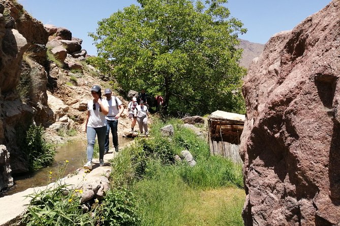 2-Day Guided Trek of the Atlas Mountains and Berber Villages - The payoff: trading Marrakech hustle for High Atlas hiking