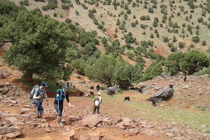 2-Day Guided Trek of the Atlas Mountains and Berber Villages - Guides and group size: why the small numbers matter