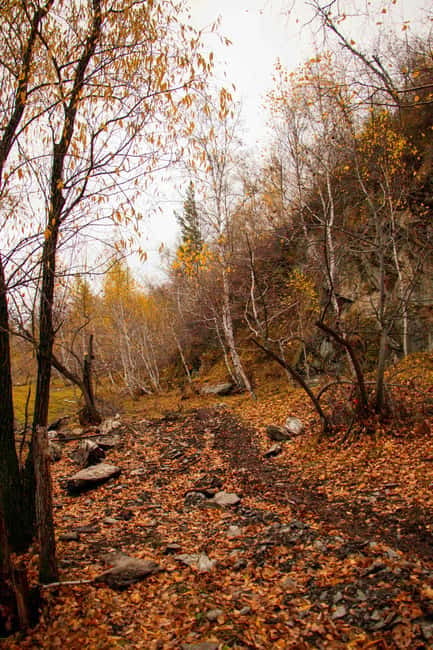 2 Day Horse trekking in Terelj national park - Aryabal monastery: meditation atmosphere without the long detour