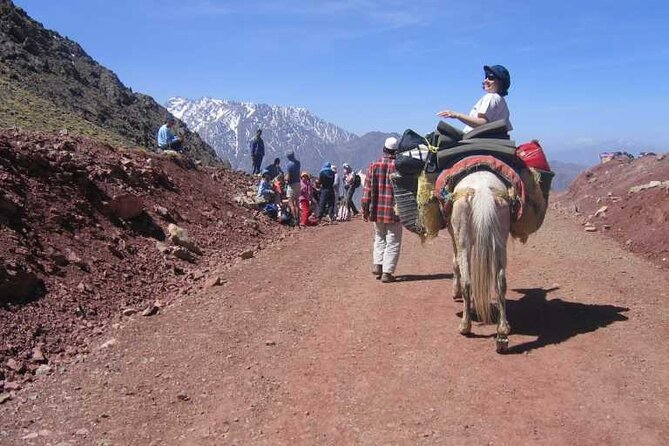 2-Day Jebel Toubkal Trek From Marrakech - Your Guide on the Ground: Ibrahim, Mohammad, and Safety You Can Feel