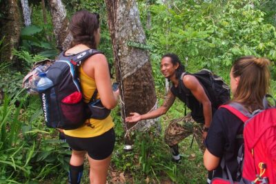 2-Day Jungle Trekking & Rafting in North Sumatra - Pickup and small-group flow (max 6) from North Sumatra