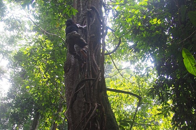 2-Day Jungle Trekking & Rafting in North Sumatra - Rafting back to Bukit Lawang: the payoff after the jungle work