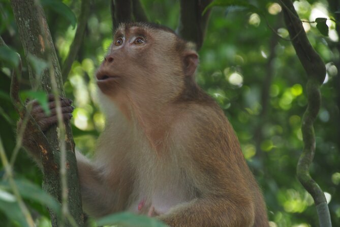 2-Day Jungle Trekking & Rafting in North Sumatra - The guide and assistant system: why certified staff matters