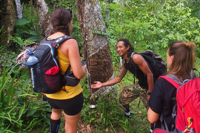 2-Day Jungle Trekking & Rafting in North Sumatra - Pickup and small-group flow (max 6) from North Sumatra