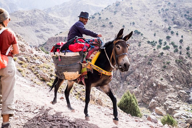 2 day mount toubkal trek ( private trek ) - Key Details I’d Focus On