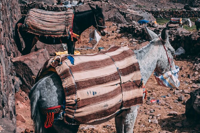 2 day mount toubkal trek ( private trek ) - Private trek value: paying for flexibility, not just a ticket
