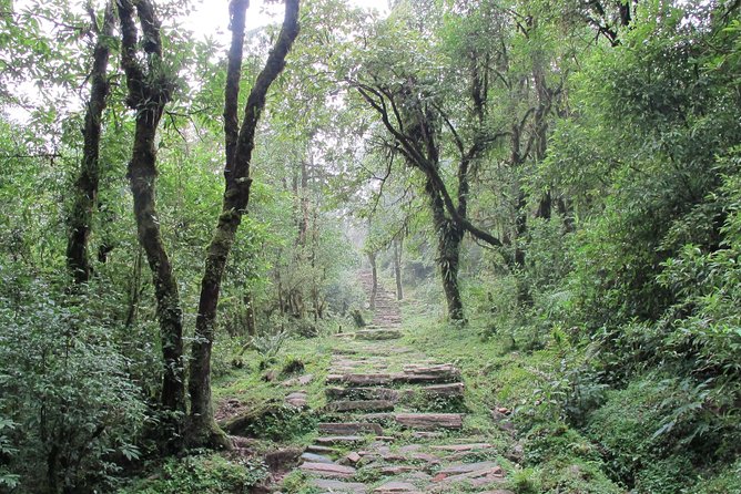 2-Day Private Trekking Tour to Australian Camp & Dhampus - Day 1 Evening: Sunset Views and Guest-House Reality