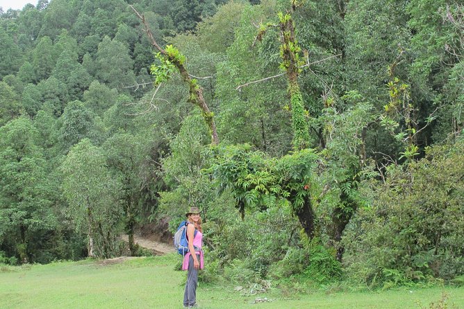 2-Day Private Trekking Tour to Australian Camp & Dhampus - Guides, Safety, and the Human Part of the Hike