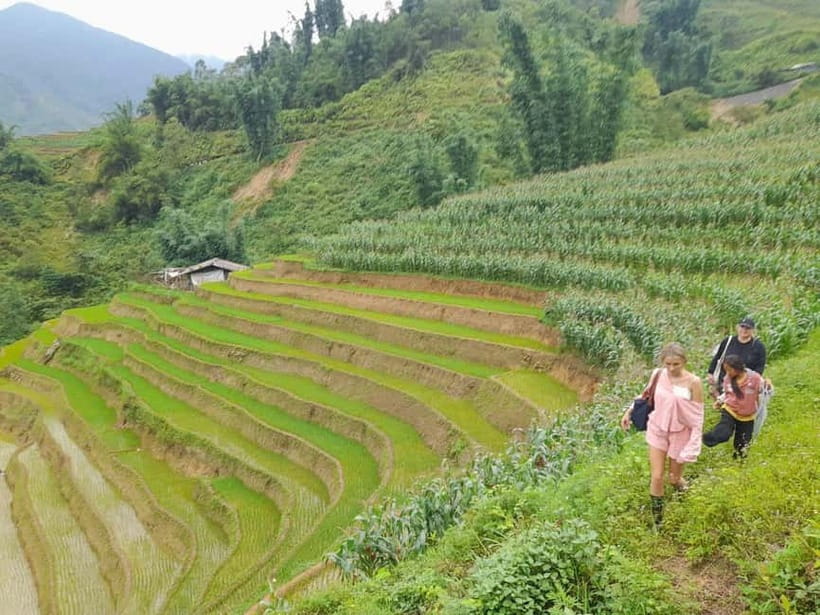 2-Day Sa Pa Ethnic Homestay Tour & Trek with Limousine Bus - Day 2: Bamboo Forest Trek, Giang Ta Chai Views, Then Back to Sa Pa