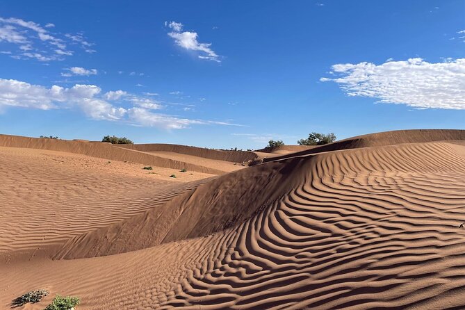 2-day trek - In the footsteps of beetles - Key highlights you’ll actually care about