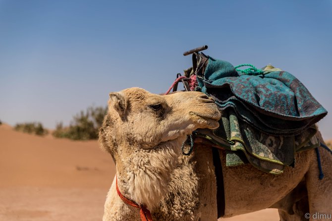 2-day trek - In the footsteps of beetles - What’s included (and what you’ll need to plan around)