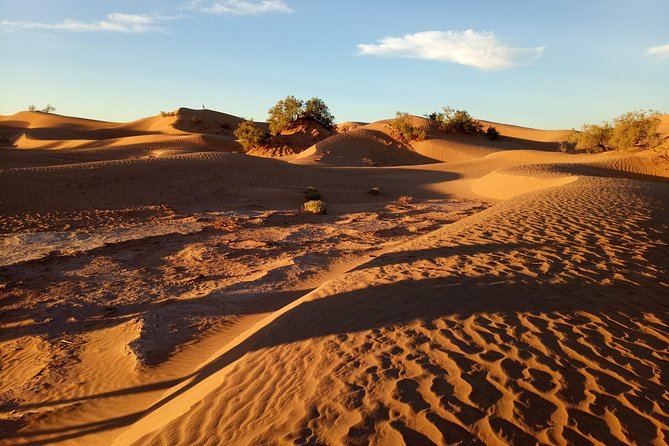 2-day trek - In the footsteps of beetles - Price and value: is $319.52 per person a good deal?