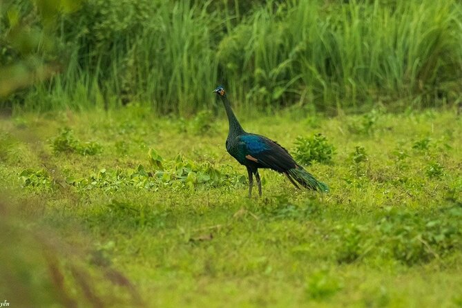 2-Day Trekking & Biking Nam Cat Tien National Park from HCM City - Packing and Pace Tips for a More Comfortable Trek