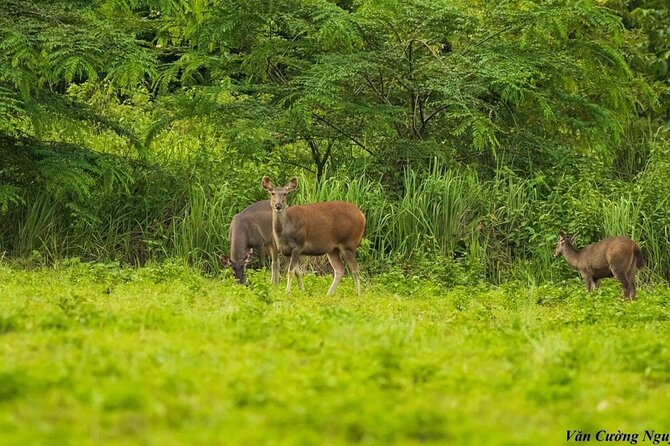 2-Day Trekking & Biking Nam Cat Tien National Park from HCM City - Who This Trip Fits Best (and Who Might Want a Different Plan)