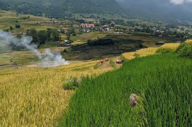 2 Day Trekking Experience: Explore with knowledgeable local guide - Food and Overnight: Why This Part Matters
