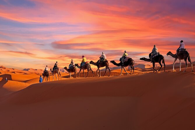 2-Day Tunisia Sahara Desert Camel Trek from Douz - Key Things I’d Plan Around (and Why They Matter)