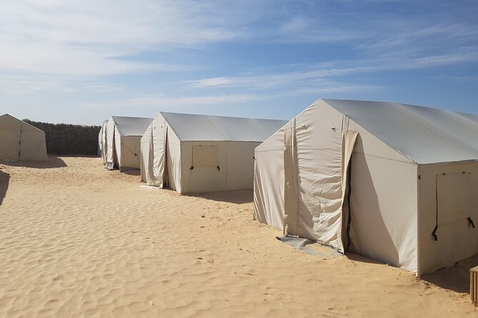 2-Day Tunisia Sahara Desert Camel Trek from Douz - Camel Basics With a Cameleer Guide (No Guessing Required)